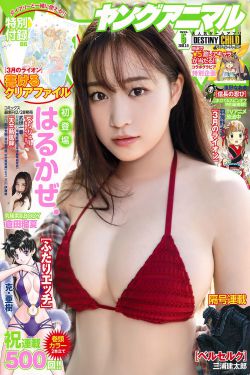 梅花三弄:水云间