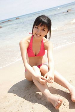 一墙春色宫禁柳